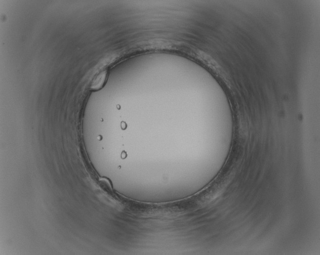 X0000077400625200611032027