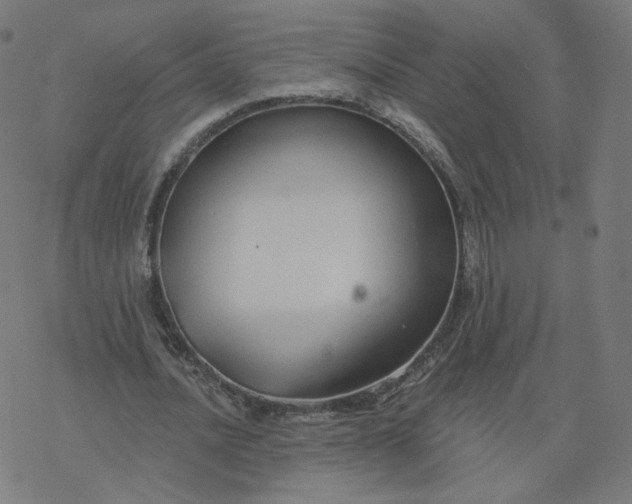 X0000077400628200611032027