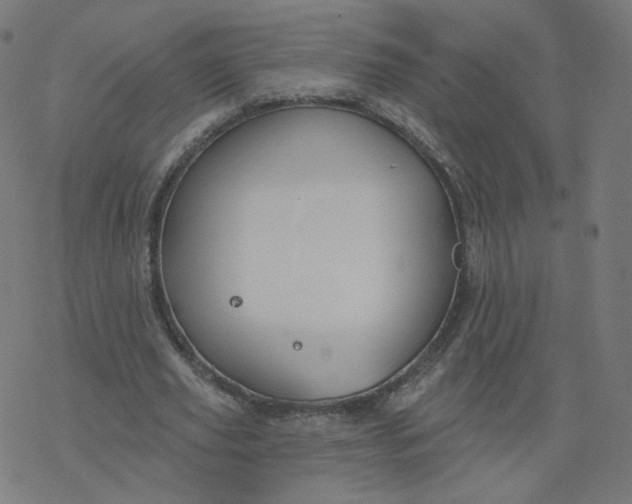 X0000077400629200611032027