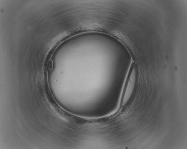 X0000077400630200611032027