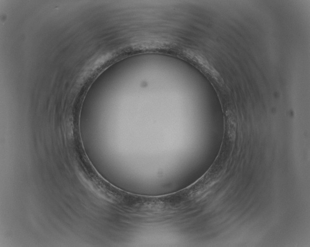 X0000077400631200611032027