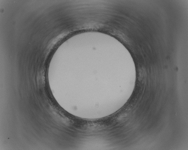 X0000077400632200611032027