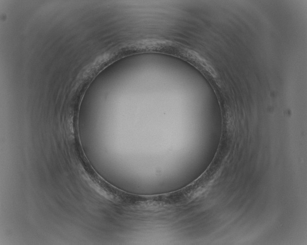 X0000077400633200611032027