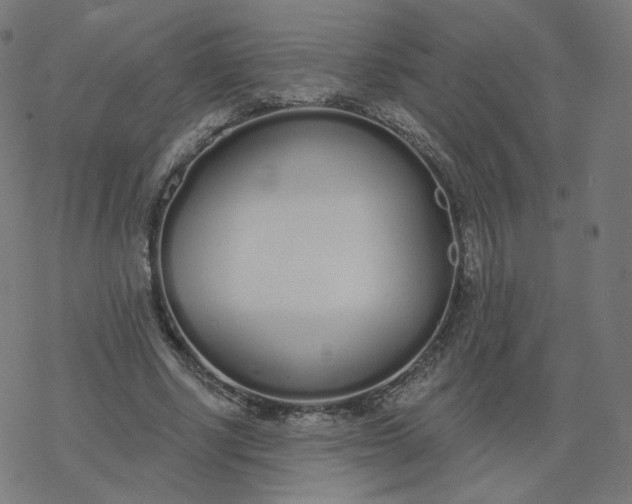 X0000077400634200611032027