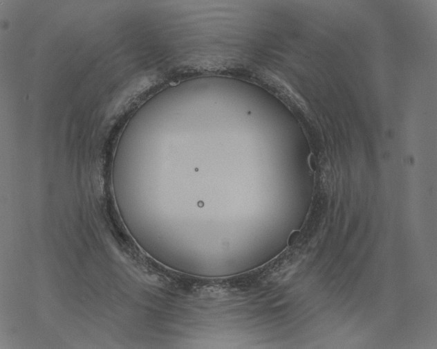 X0000077400635200611032027