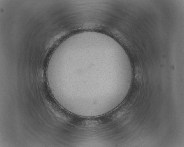 X0000077400636200611032027