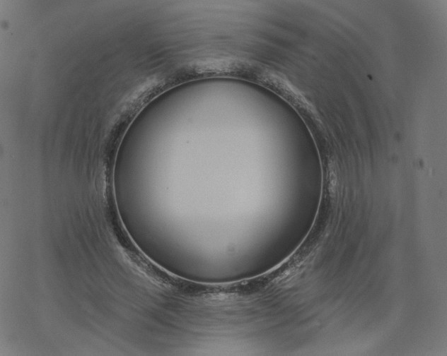 X0000077400637200611032027