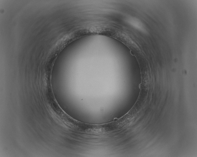 X0000077400639200611032027