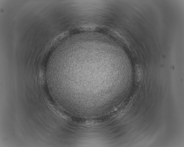 X0000077400641200611032027