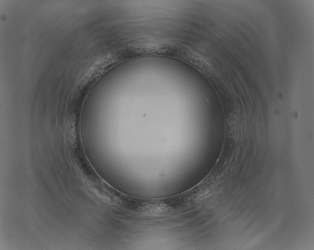 X0000077400642200611032027