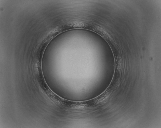 X0000077400643200611032027