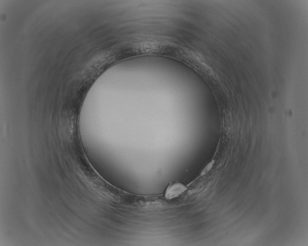 X0000077400645200611032027