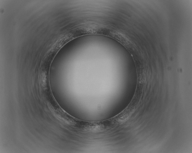 X0000077400646200611032027