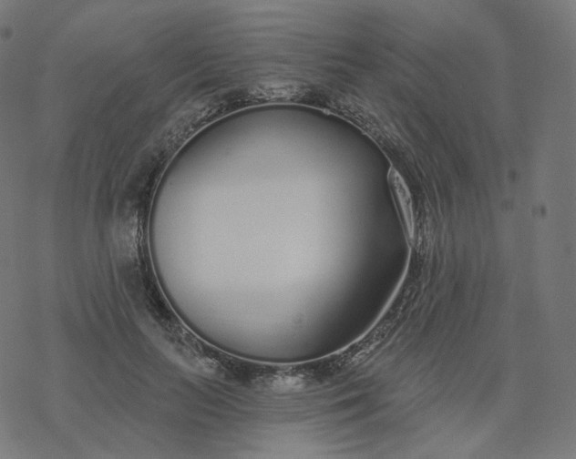 X0000077400647200611032027