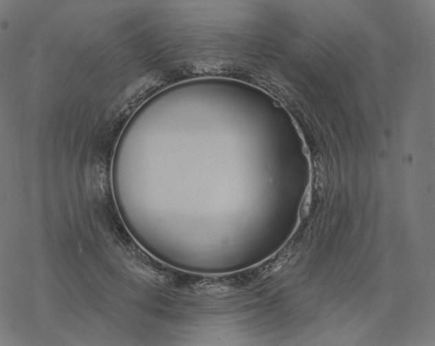 X0000077400648200611032027