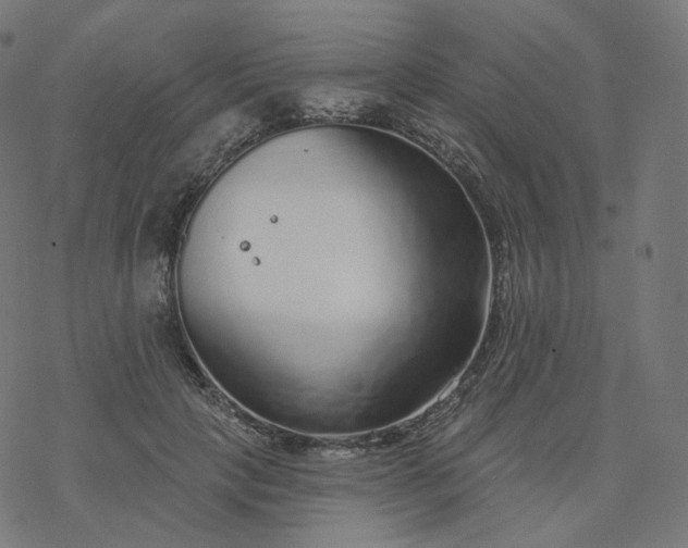 X0000077400649200611032028