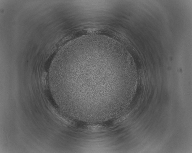 X0000077400650200611032028