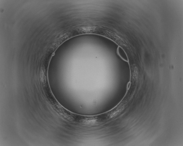 X0000077400651200611032028