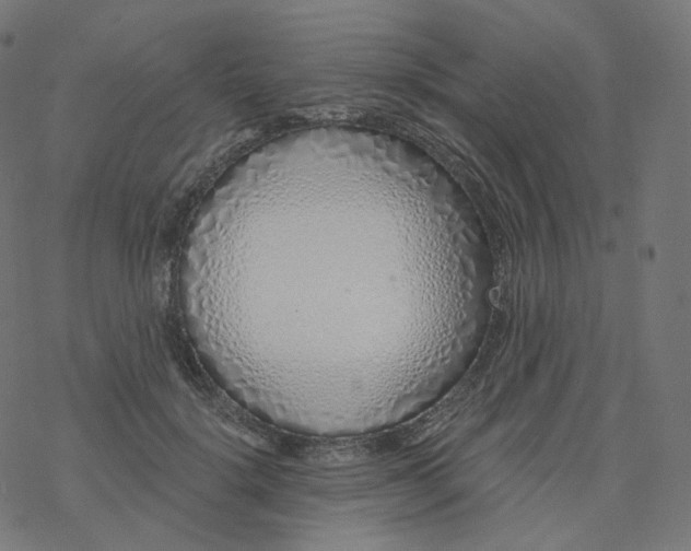 X0000077400652200611032028