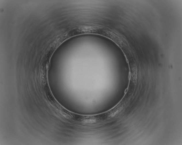 X0000077400653200611032028