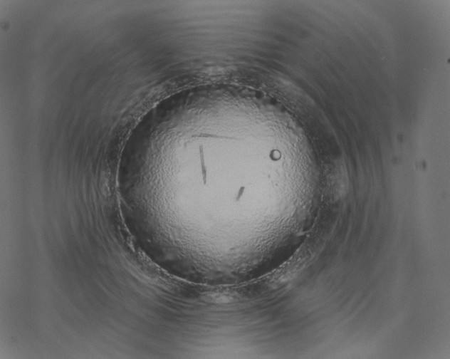 X0000077400654200611032028