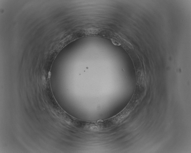 X0000077400655200611032028