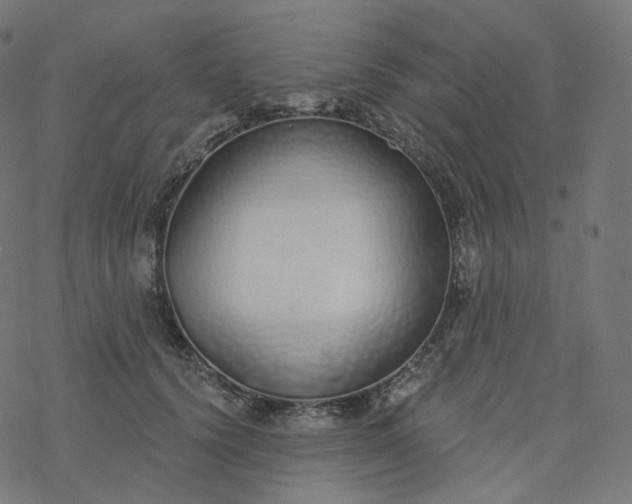 X0000077400656200611032028