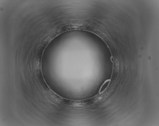 X0000077400657200611032028