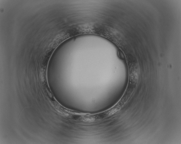 X0000077400658200611032028