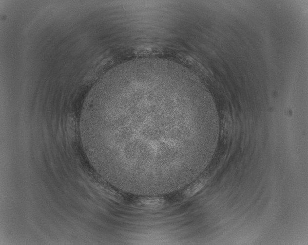 X0000077400659200611032028