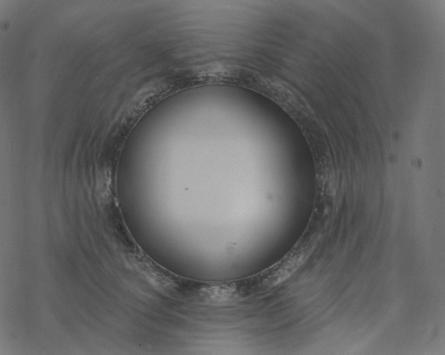 X0000077400660200611032028