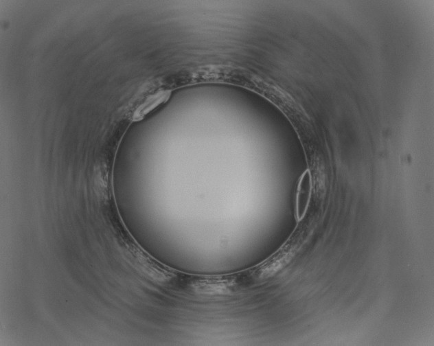 X0000077400661200611032028