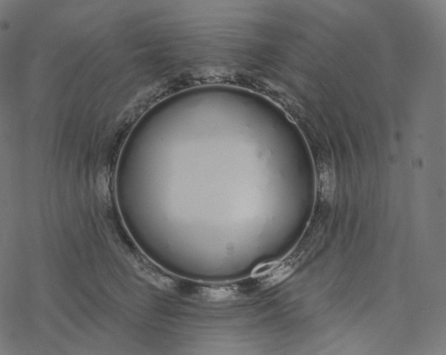 X0000077400662200611032028