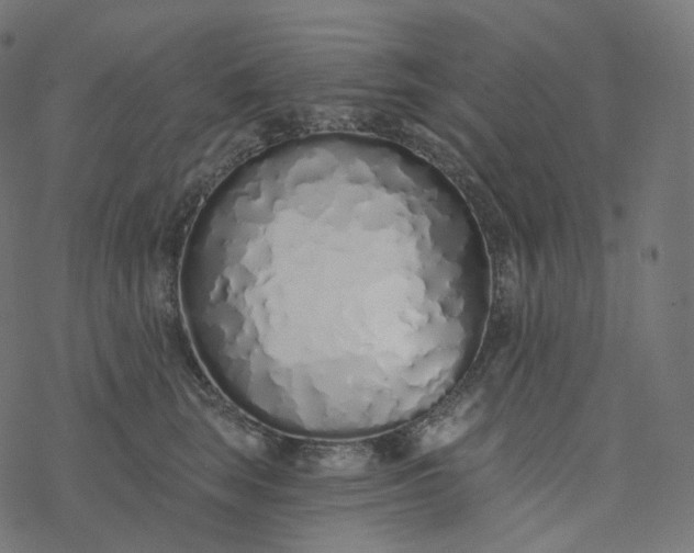 X0000077400663200611032028