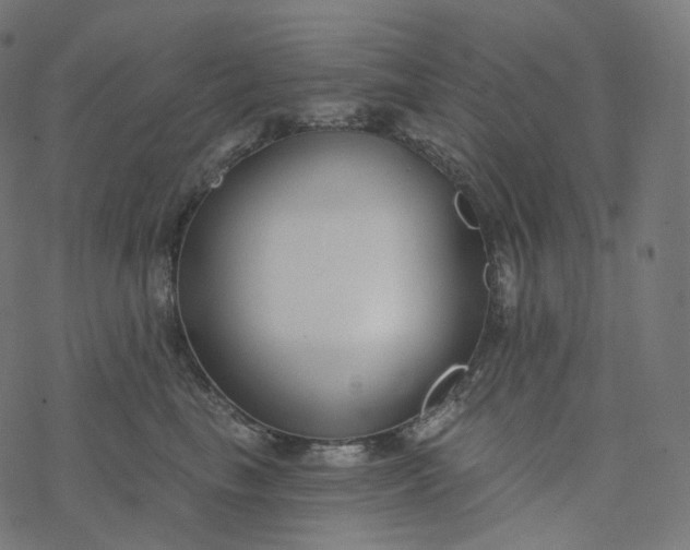 X0000077400665200611032028