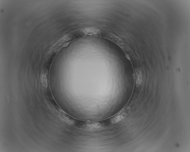 X0000077400666200611032028