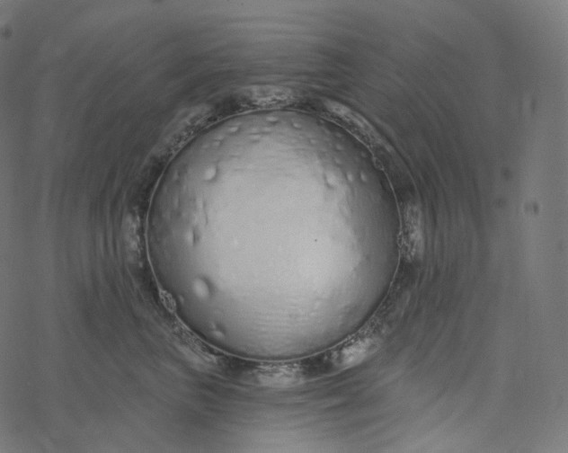 X0000077400667200611032028