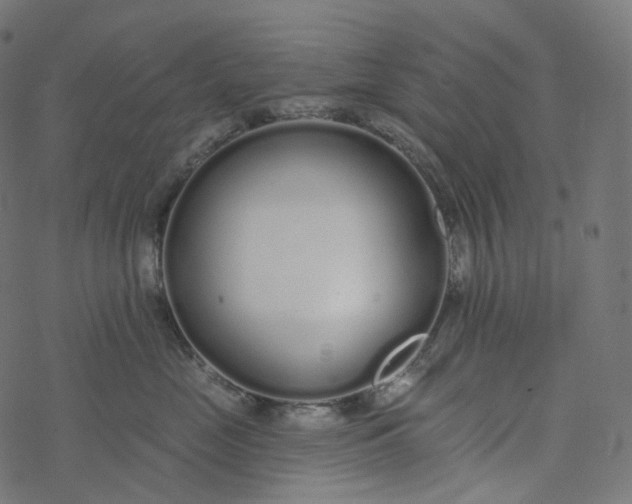 X0000077400669200611032028