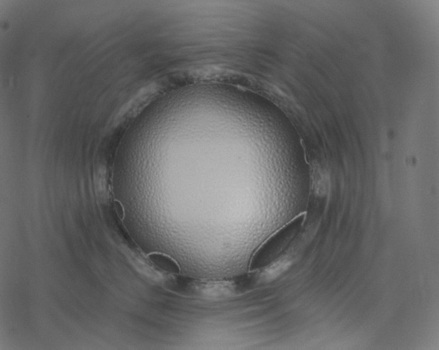 X0000077400670200611032028