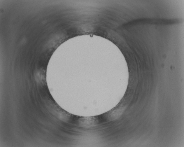 X0000077400672200611032028