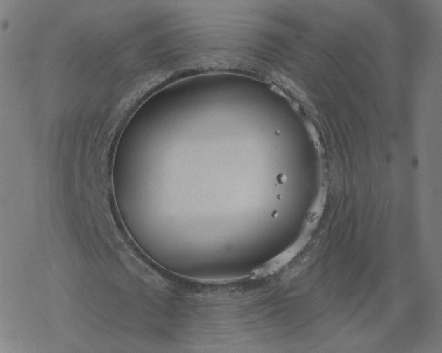 X0000077400673200611032027