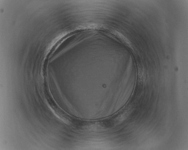 X0000077400674200611032027