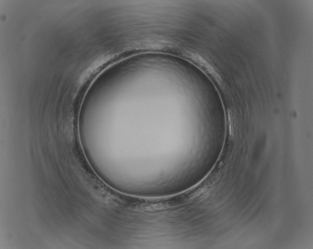 X0000077400675200611032027