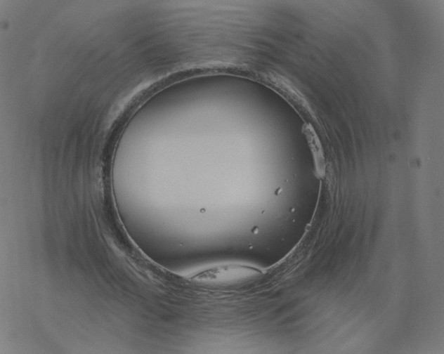 X0000077400676200611032027