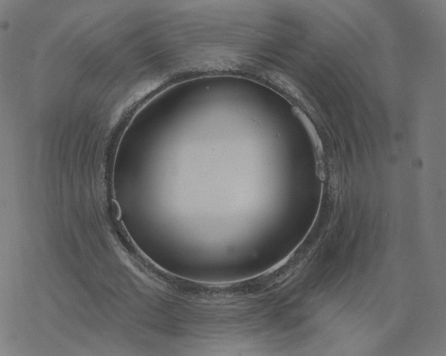 X0000077400677200611032027