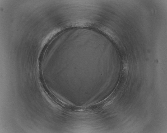 X0000077400678200611032027