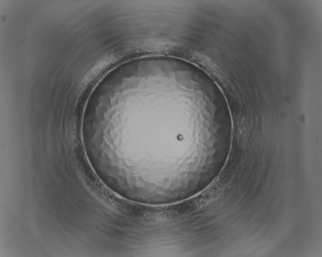 X0000077400679200611032027