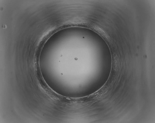 X0000077400680200611032027