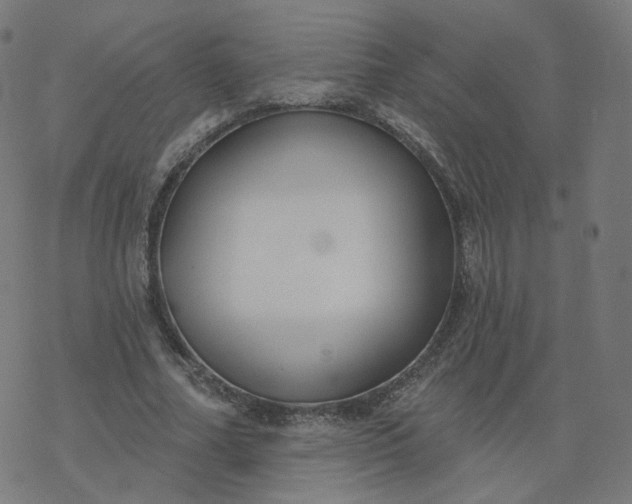 X0000077400682200611032027