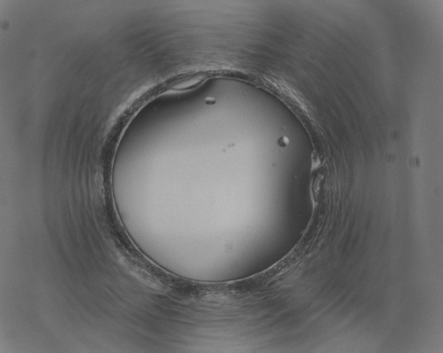 X0000077400684200611032027